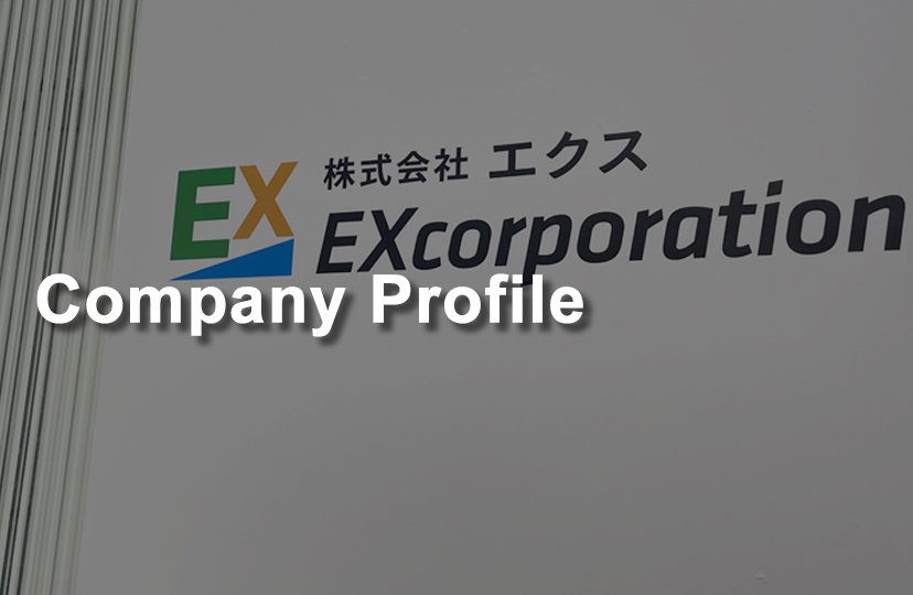 Company Profile