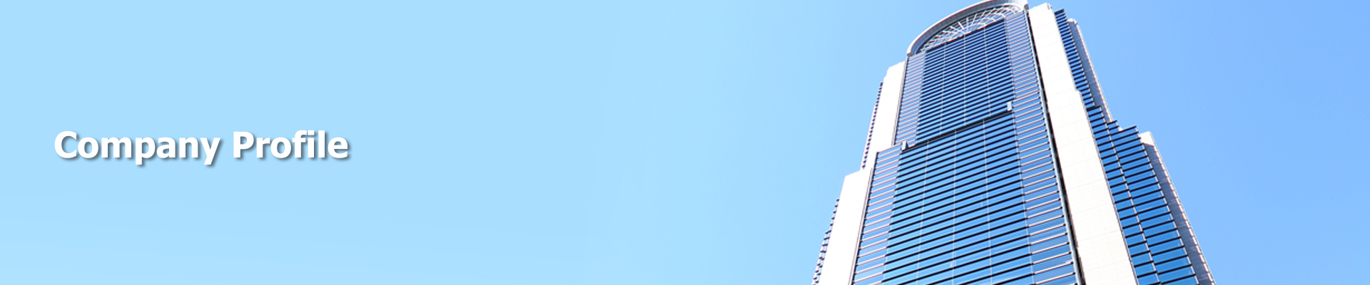 Company Profile